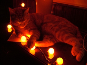 L'Orange uses her strong cat magic to summon glowing jack o'lanterns for Halloween.